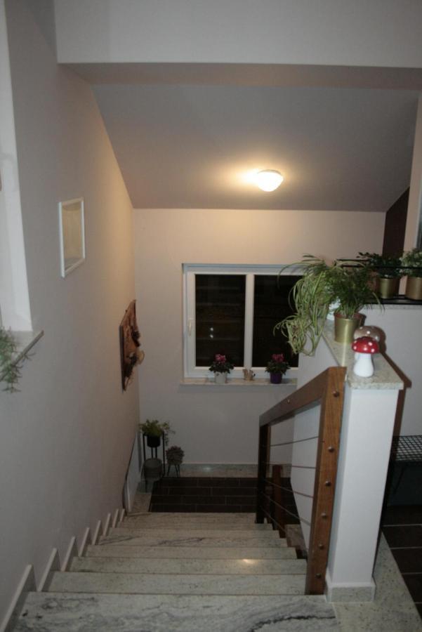 Kaj-Lux Apartment Tuheljske Toplice Exterior foto